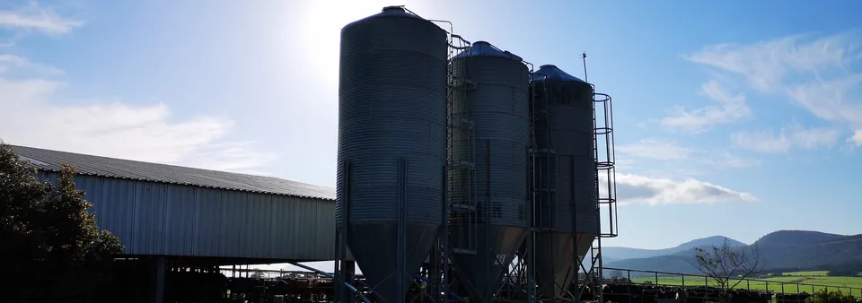 Feed silos and dairy sheds on a farm